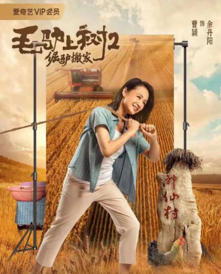 凉森玲梦在线观看